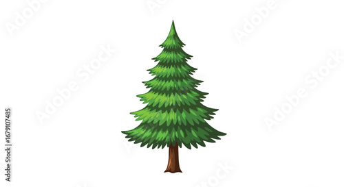 Illustrative Evergreen Tree with Lush Green Branches Against a Pristine White Backdrop