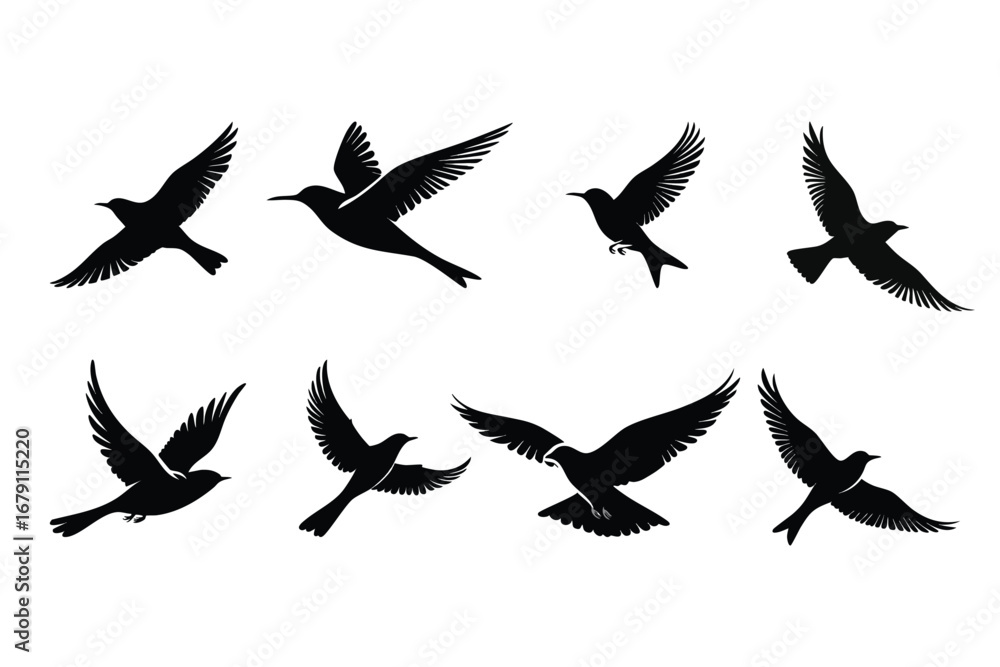 Obraz premium Silhouette of flying Birds.