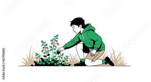 Young Boy Picking Berries In a Garden Illustration With Green Vegetation And Clothes