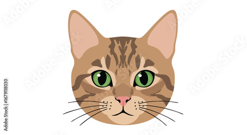 A charming feline face illustration featuring a tabby cat with striking green eyes and a pink nose providing a simple yet appealing design