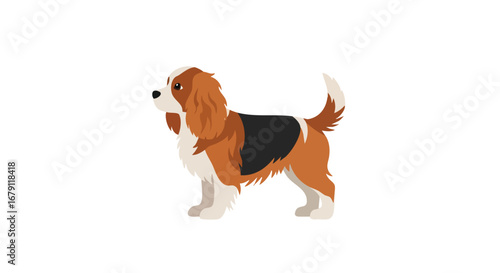 Elegant Cavalier King Charles Spaniel Illustration with Detailed Markings and a Graceful Stance, showcasing its Breed Characteristics