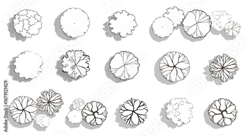 Vector set of Top view  tree for outdoor plan or map and architecture drawing, elements for environment and garden ,botanical elements ,Blooming flowers in spring,tropical plants ,freehand drawing 