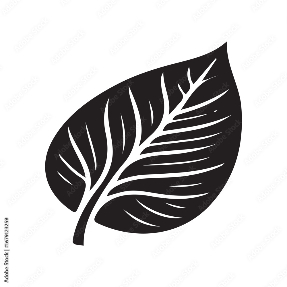 Obraz premium Leaf vector art black and white