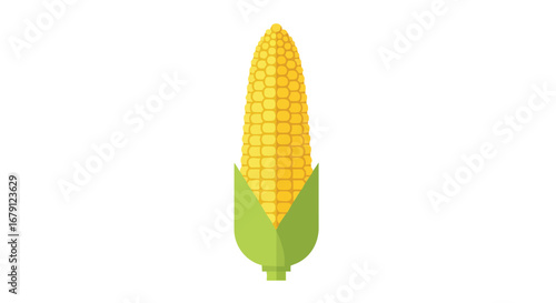 Simple vector illustration of a ripe ear of corn, showcasing the vibrant yellow kernels and fresh green husk against a pristine white background