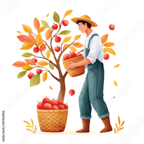 Apple harvest with farmer in overalls and straw hat near tree