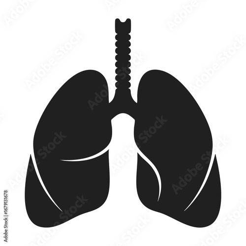 Anatomical illustration of human lungs and trachea. Vector icon of the respiratory system for medical and healthcare concepts isolated on white background.