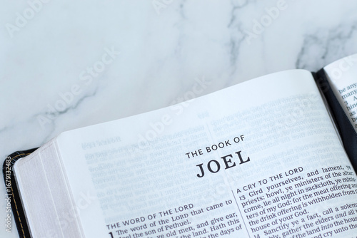 Εκτύπωση καμβά Joel bible book on white marble background