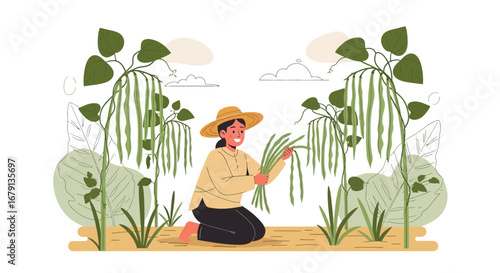 Woman Harvesting Long Beans In a Garden Under a Clear Sky Depicted In Illustration Form