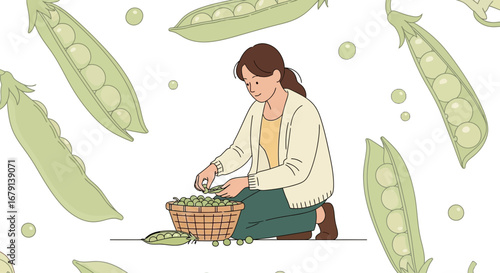Woman In A Garden Podding Peas From A Weaved Basket With Scattered Peas Graphic