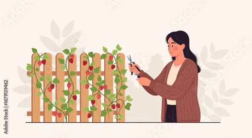 Woman Pruning Strawberry Plants Near Wooden Fence In Garden Vector Illustration