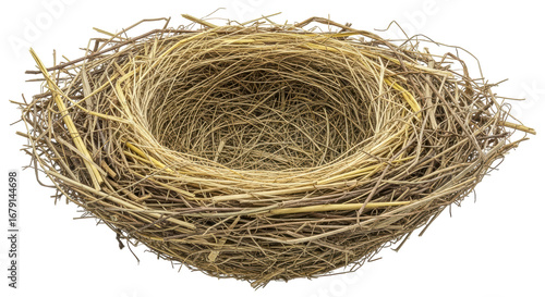 Obraz na płótnie Isolated Bird Nest