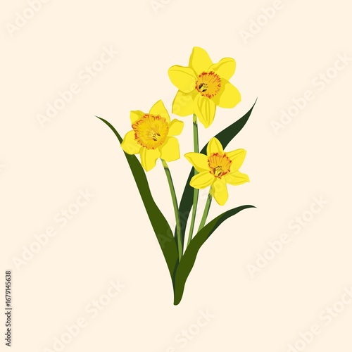Wallpaper Mural Yellow daffodil clipart, realistic flower illustration Torontodigital.ca