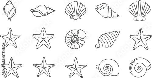 Collection of seashells and starfish isolated on a white background, showcasing marine life diversity and ocean treasures