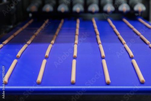 Rows of dog snack sticks aligned on conveyor belt at pet food production machine in manufacturing. automated pet food manufacturing process prepared for further processing or packaging.