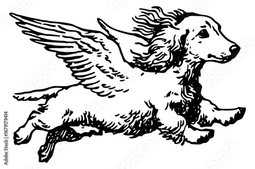 Dog flying on angel wings. Illustration of spaniel in flight