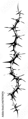 Illustration of a prickly liana with large thorns