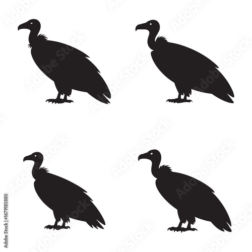 Seamless Pattern of Black Vulture Silhouettes