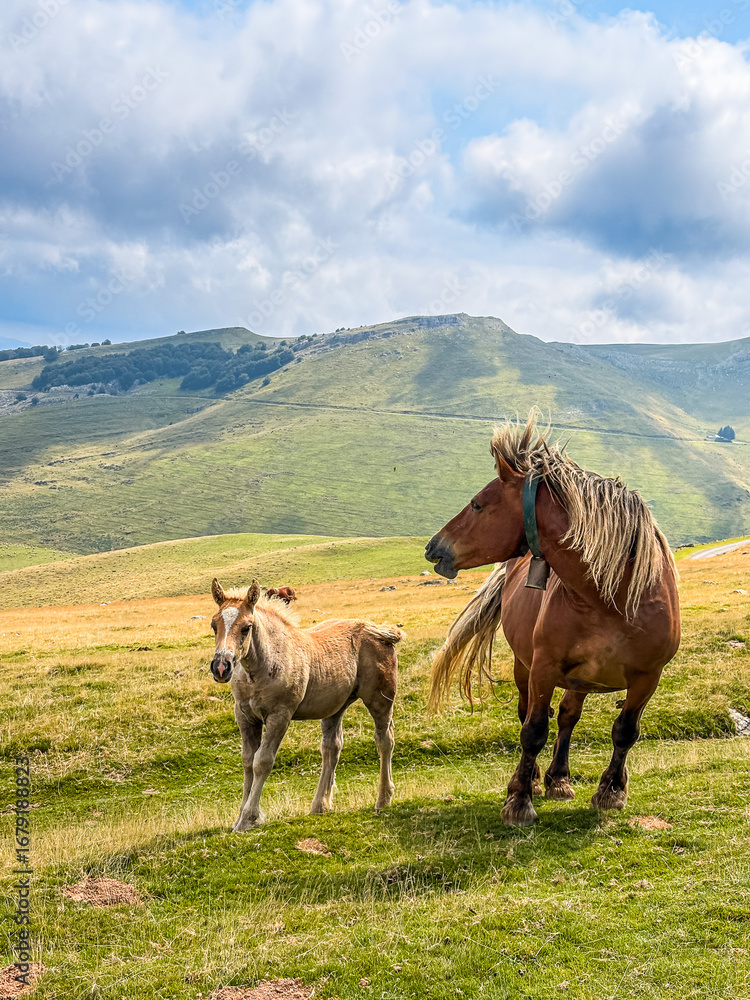 Obraz premium Majestic Mountain Landscape in the Pyrenees Region of Europe