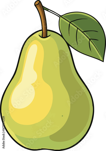 Illustration of a single green pear with a stem and leaf against a white background