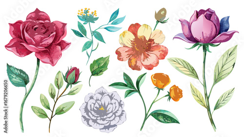 Vector art of watercolor floral set, a beautiful collection of handpainted flowers and leaves for your creative projects