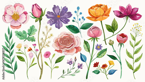 Vector art of watercolor floral set, perfect for adding a touch of elegance and charm to your designs and creative projects