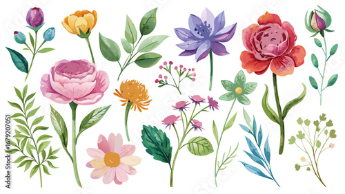 Vector art of watercolor floral set with various flowers and leaves, perfect for wedding invitations and greeting cards