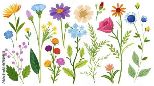 Vector art of watercolor floral set with various flowers and leaves, perfect for spring and summer designs