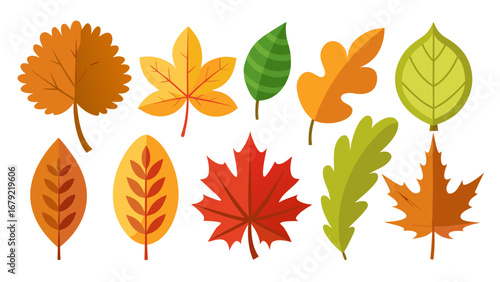 Vector art of colorful autumn leaves collection featuring various shapes and colors, perfect for seasonal designs and decorations
