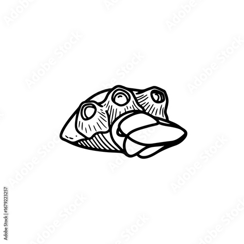 Stylized Platypus Illustration: Monochrome Line Art Design