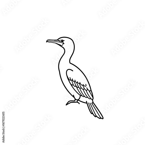 Elegant Line Art Illustration of a Cormorant Bird