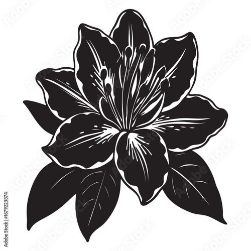 A Detailed Macro Close-up of an Azalea Bush, a Beautiful and Colorful Garden Plant with a Dense Display of Pink, White, or Red Flowers