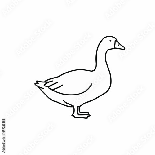 Elegant Goose Outline: Graceful Waterfowl Illustration with Detailed Feathering