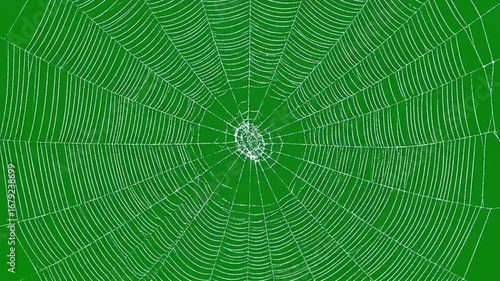 4k video green screen halloween animated spider web expanding