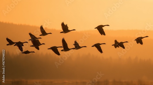 A Golden Voyage in the Autumn Heavens