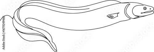 Elegant line drawing of an eel, minimalist aquatic animal illust