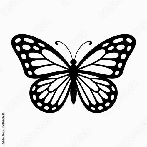 butterfly vector illustration