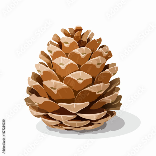 Pine cone set, realistic vector illustration isolated