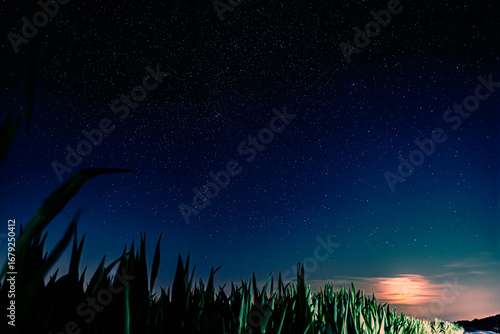 Sterne Sternschnuppen Milchstraße Stars Shootingstar Milkyway