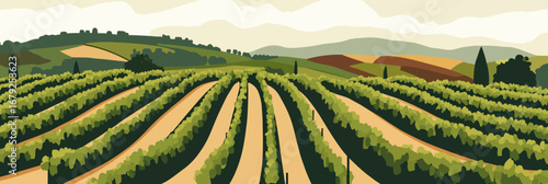 Panoramic vineyard landscape with green grapevines rows hills countryside agricultural plantation under cloudy sky minimalist vector illustration
