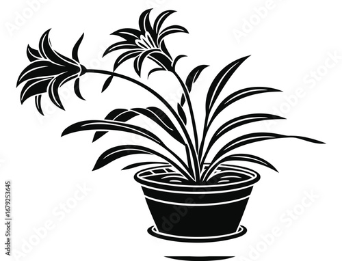 flower in pot