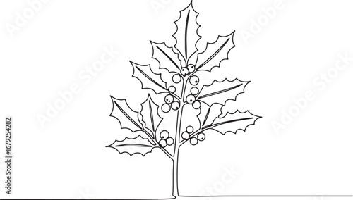 Elegant minimalist line drawing of a holly plant with berries an