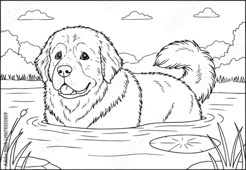 Newfoundland dog enjoying a refreshing swim in the lake coloring