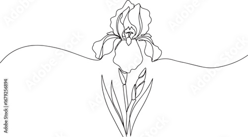 Elegant iris flower illustration in continuous line art style fo