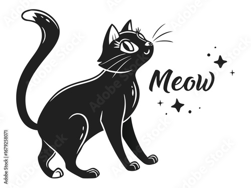black cat on white background