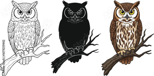 Majestic owl perched on a branch in black silhouette and colorful illustrations for kids books and design
