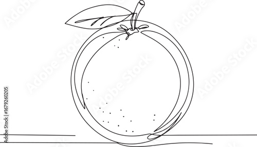 Minimalist Orange Fruit Line Art Illustration for Modern Design
