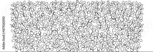 Elegant Single Line Drawing of Boxwood Hedge for Minimalist Desi