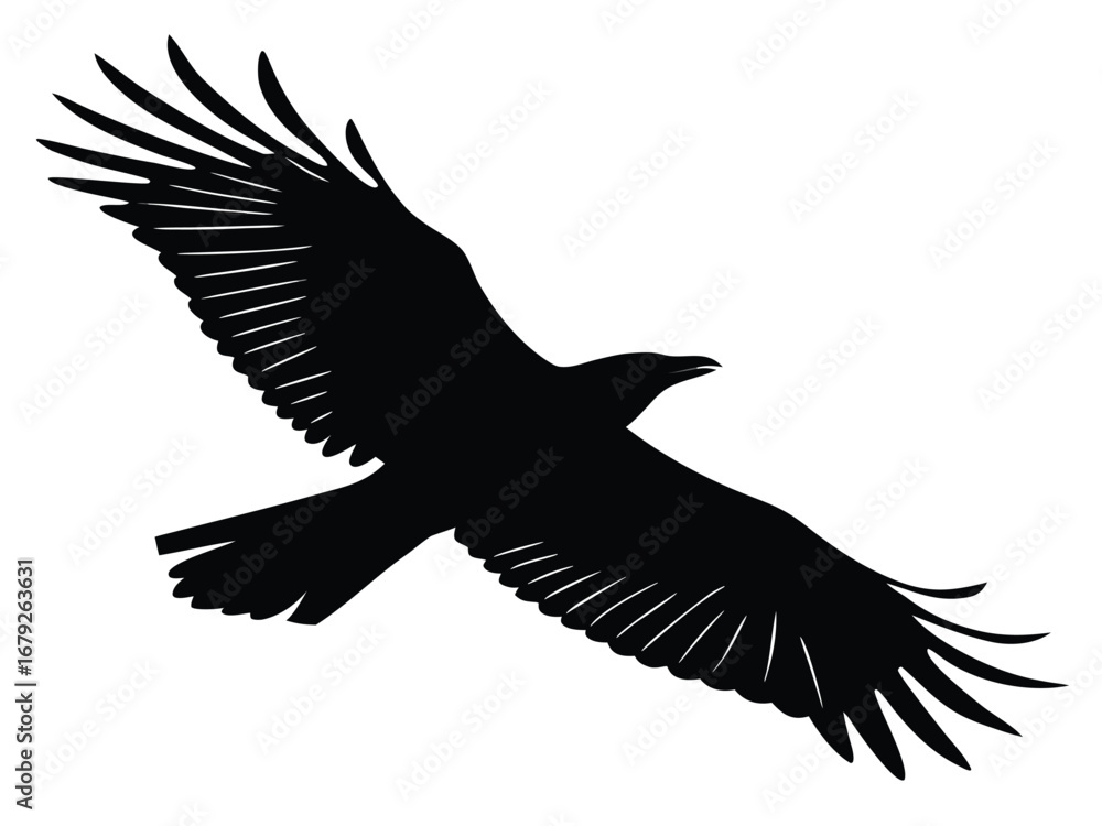 Fototapeta premium eagle vector illustration