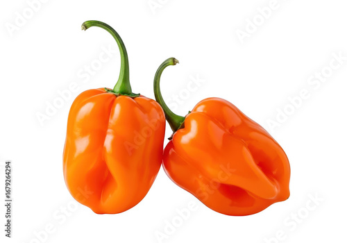 Two orange habanero peppers isolated on transparent background