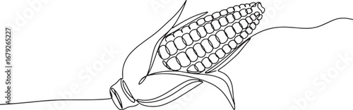 Elegant Single Line Drawing of Ripe Corn on the Cob, Minimalist